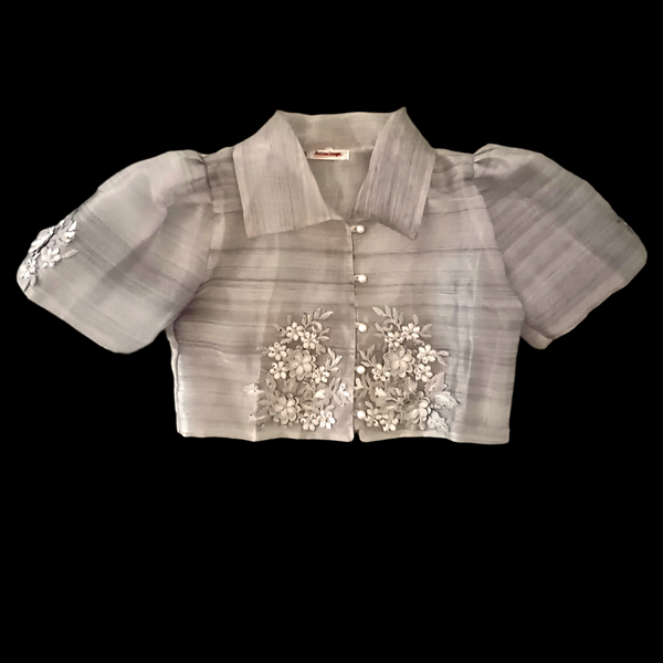 Alzona Silver Crop Top